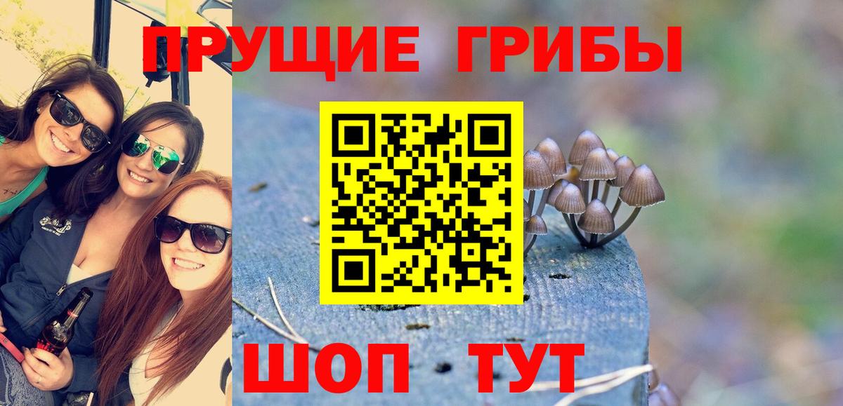 Псилоцибиновые грибы MAGIC MUSHROOMS  Псилоцибиновые грибы мухоморы  Вход с VPN  Усть-Кут 